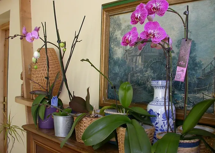 Il Roscio 2* Attigliano